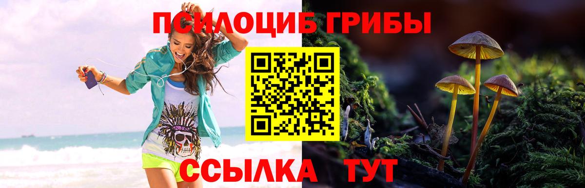 Псилоцибиновые грибы прущие грибы  Вход с VPN  Псилоцибиновые грибы GOLDEN TEACHER  Видное 